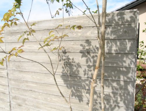 木の塀に木漏れ日が映る庭の植栽